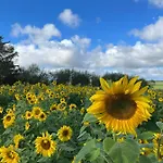 Проживание в семье 15 - Hawkraft Kulturhotel Vestervig